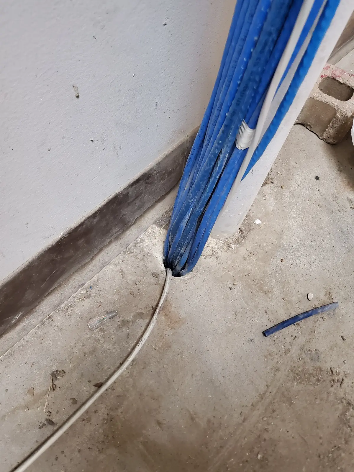 Bundle of blue Cat6 cables entering through the wall at floor level